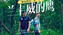 拯救铁笼中的小牛
