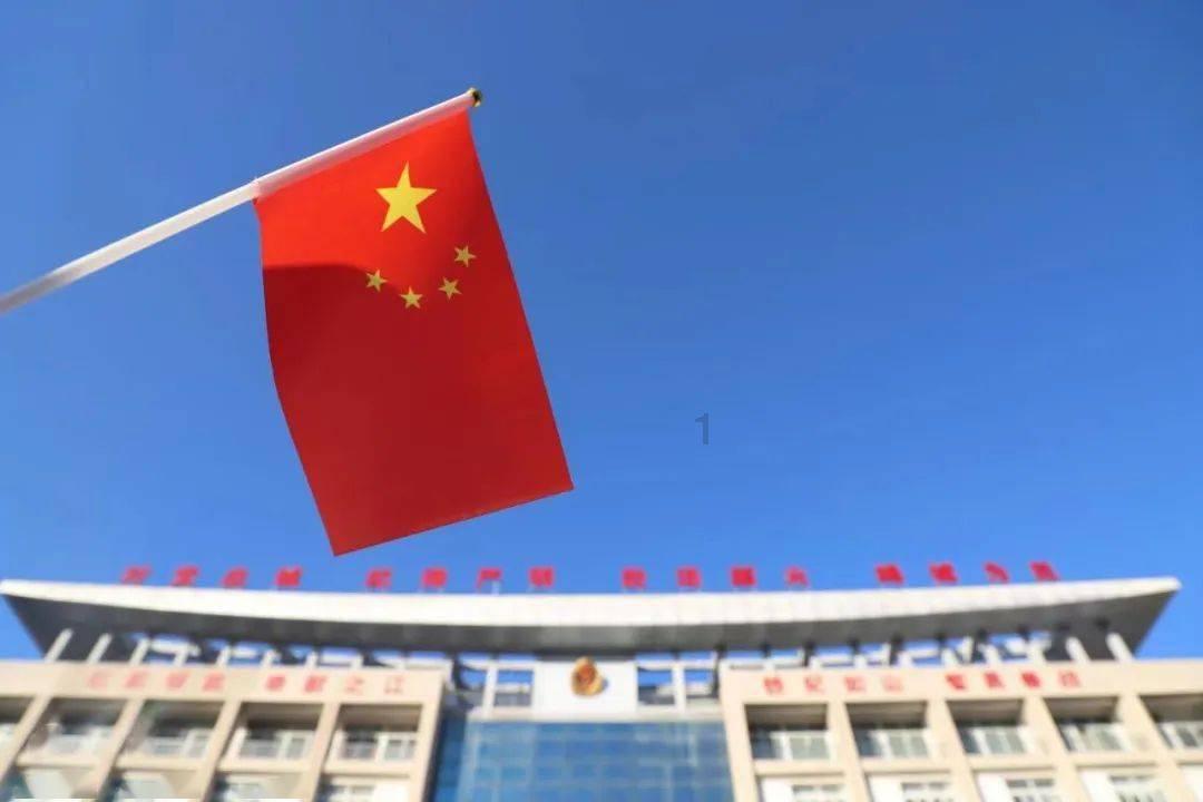 金币放置