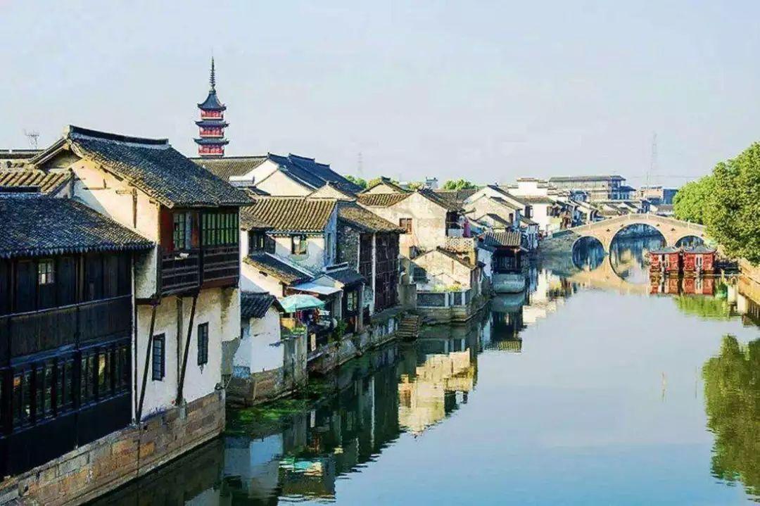 金刚鹦鹉逃生